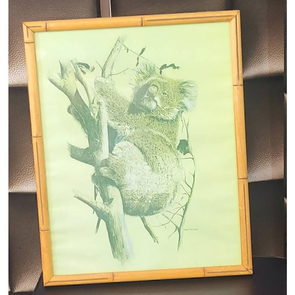 Hans P Luetcke Koala bear bamboo print